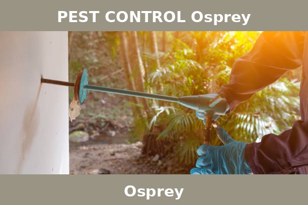 PEST CONTROL Osprey